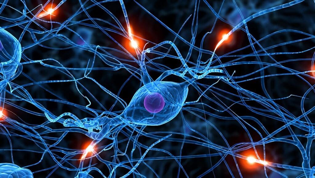 Videotelemetría en el Servicio de Neurología: Discusión