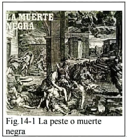 La peste o muerte negra La peste o muerte negra