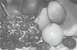 procedimientos de producción procedimientos de producción