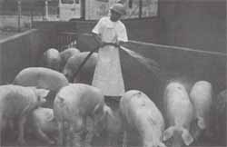 Control de Calidad  Control de Calidad