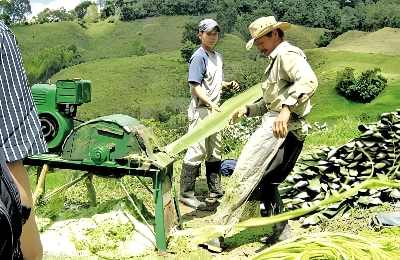 colombia-seguridad-alimentaria