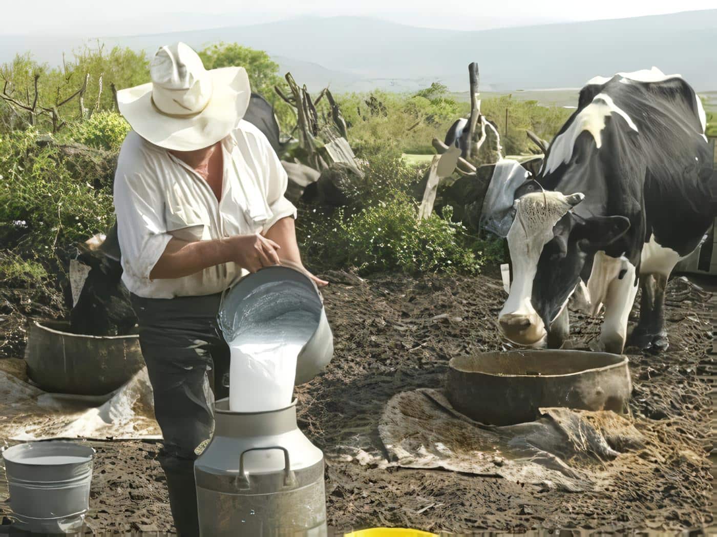 manejo-ganadero