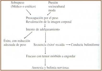 Desarrollo de los trastornos de la conducta alimentaria Desarrollo de los trastornos de la conducta alimentaria