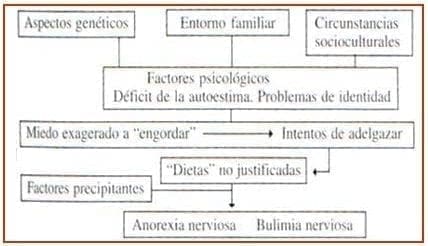 Patogenia de los trastornos de la conducta alimentaria Patogenia de los trastornos de la conducta alimentaria