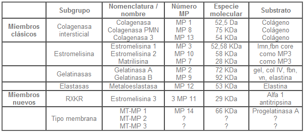 Metaloproteinasas Metaloproteinasas