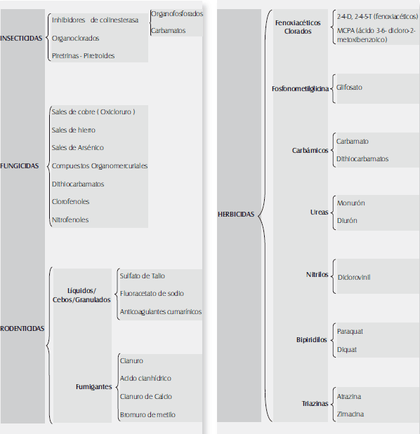Clasificación de los Plaguicidas Según su Uso