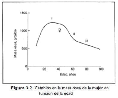 Cambios en la masa ósea de la mujer