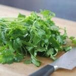 Cilantro - Plantas aromáticas