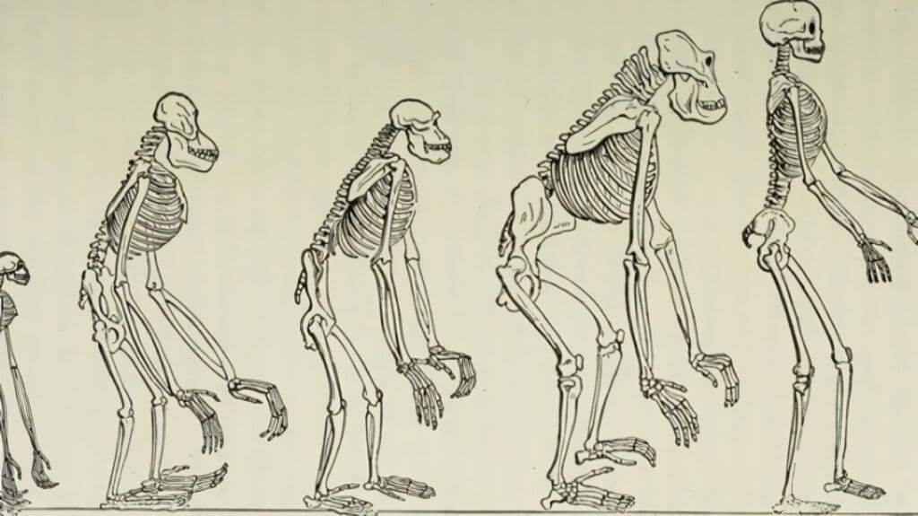 Carrera de Antropología