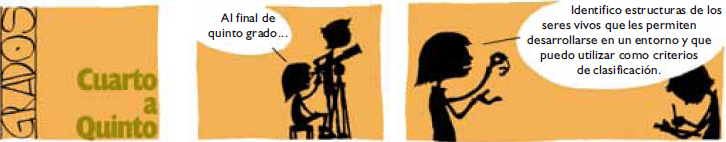 Cuarto a quinto grado1