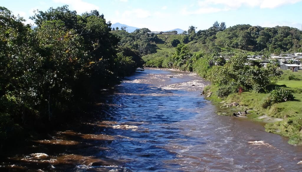 Departamento del Cauca