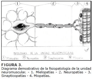 Diagrama demostrativo de la fisiopatología de la unidad Diagrama demostrativo de la fisiopatología de la unidad