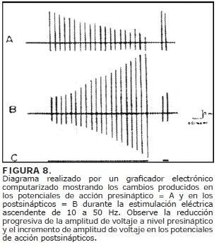 Cambios preoducidos en los potenciales-graficador electrónico Cambios preoducidos en los potenciales-graficador electrónico