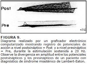Registro de potenciales-graficador electrónico Registro de potenciales-graficador electrónico