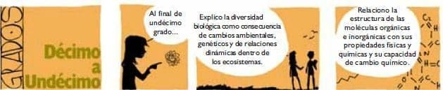 Grados Decimo y Undécimo Grados Decimo y Undécimo