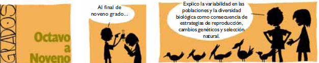 grado octavo y noveno2