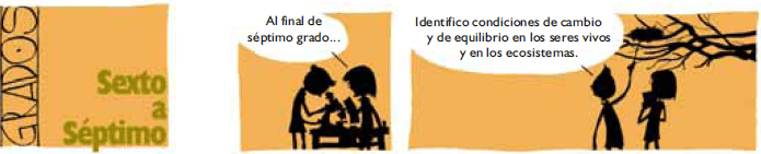 grado sexto a septimo2