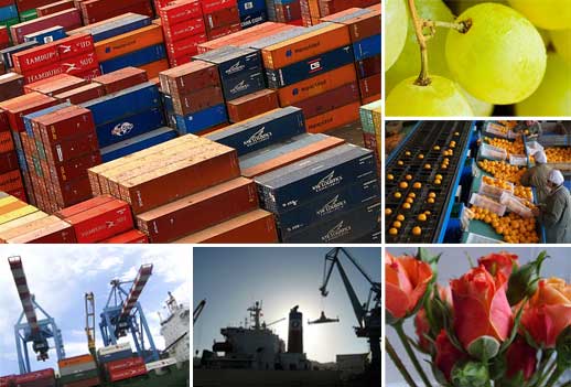 Exportaciones - Dinámica Exportadora - Comercio y Economía