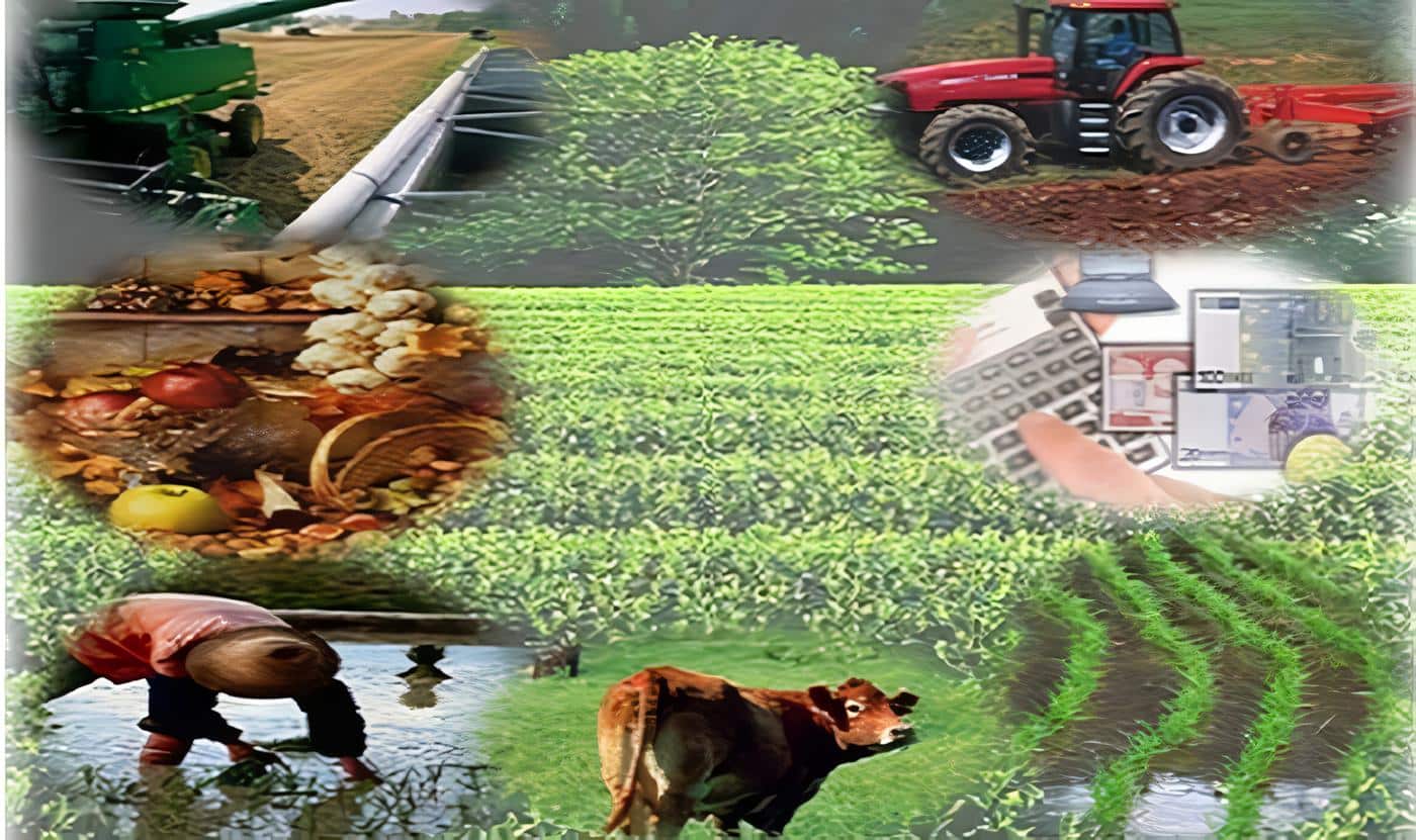 Sector-agropecuario-honduras