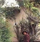 Andrés en el Jardín