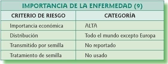 Importancia de la enfermedad del cáncer de los cítricos Importancia de la enfermedad del cáncer de los cítricos