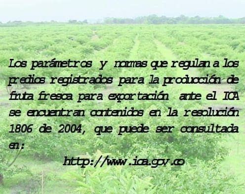 Parametros en Moscas de la Fruta Parametros en Moscas de la Fruta