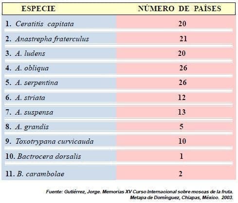 Principales especies mosca fruta américa Principales especies mosca fruta america
