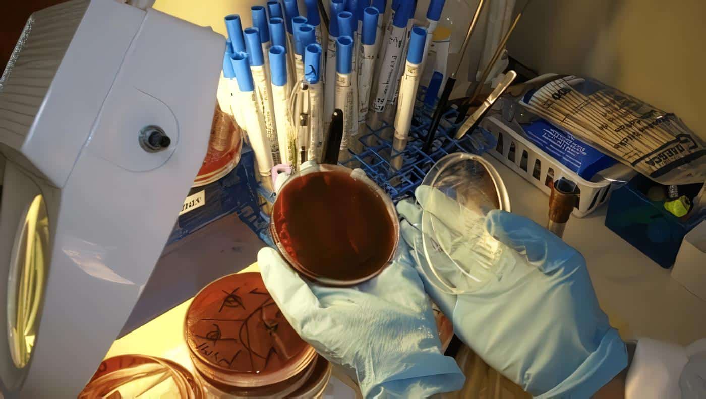 profesional-bacteriologia