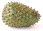 Guanabana ovoide Guanabana ovoide