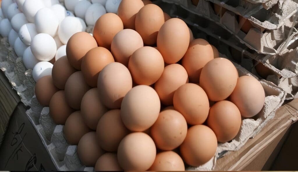 Mundo Produjo 1 Billón 124.000 Millones de Huevos
