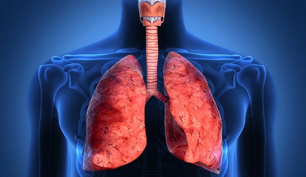 Estatinas retrasan el deterioro pulmonar en fumadores