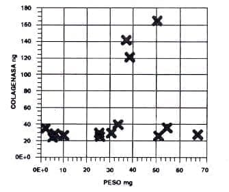 Estimación de colagenasa en pulpas de permanentes