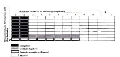 Diagrama del Montaje en la Prueba de Elisa