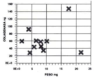 Estimación de colagenasa en pulpas de temporales