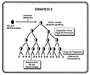 rfco-volumen-57-grafico6