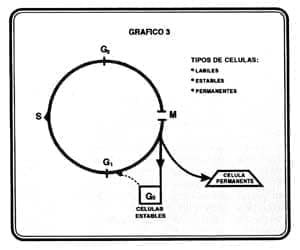 rfco-volumen-57-grafico7