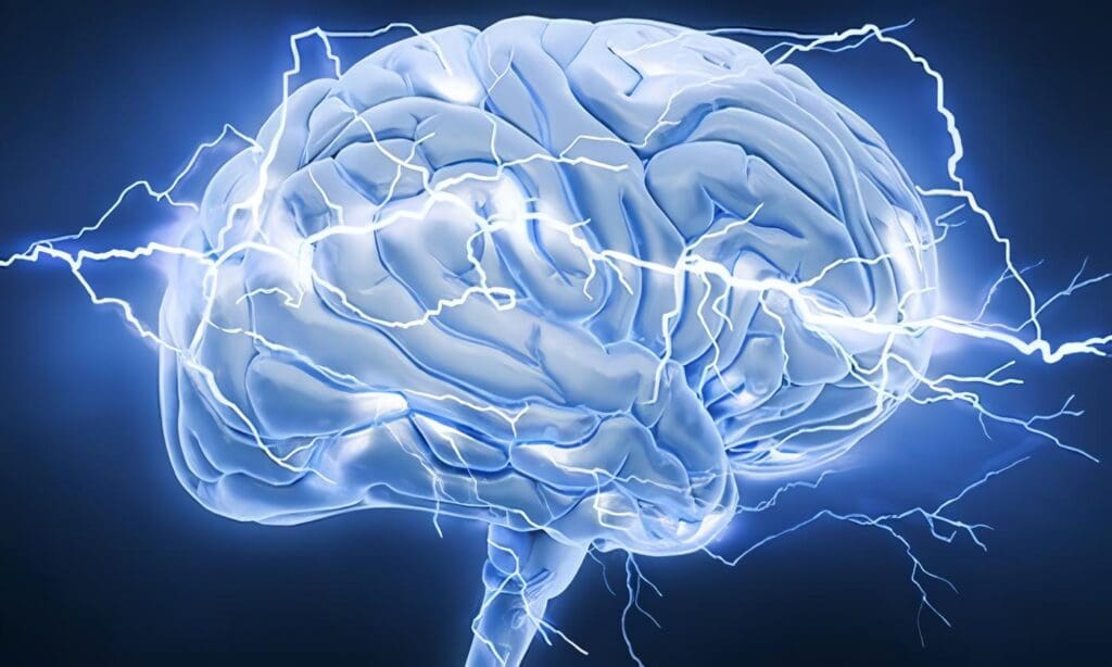 Cambios de Estructura Cerebral
