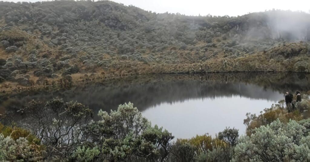 Páramos y Humedales