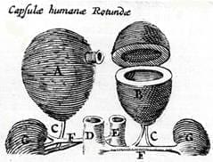 Suplemento26Delosanatomistas1