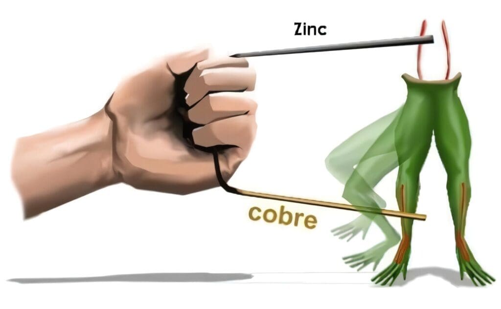 Electricidad Animal