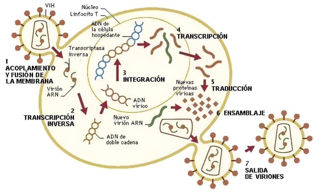 Infección por VIH