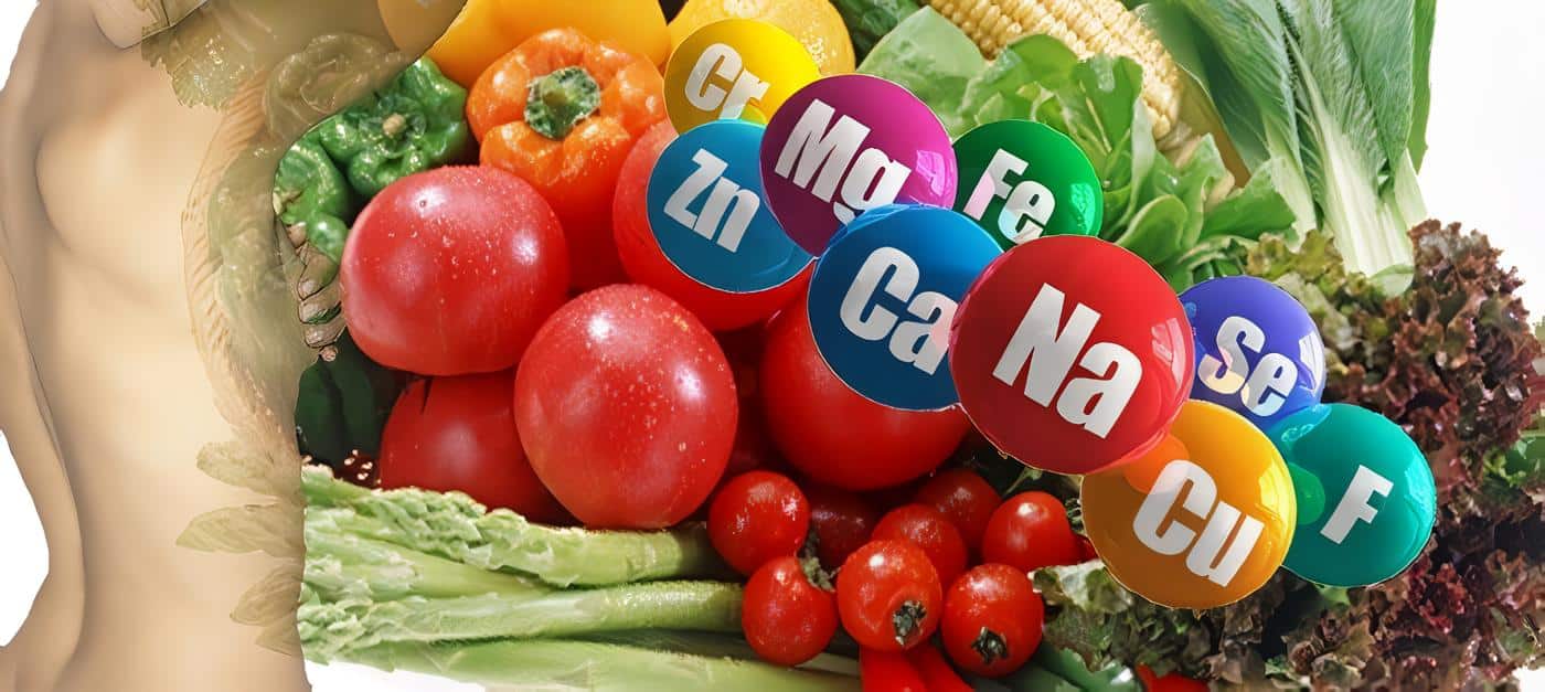 Oligoelementos y Desnutrición