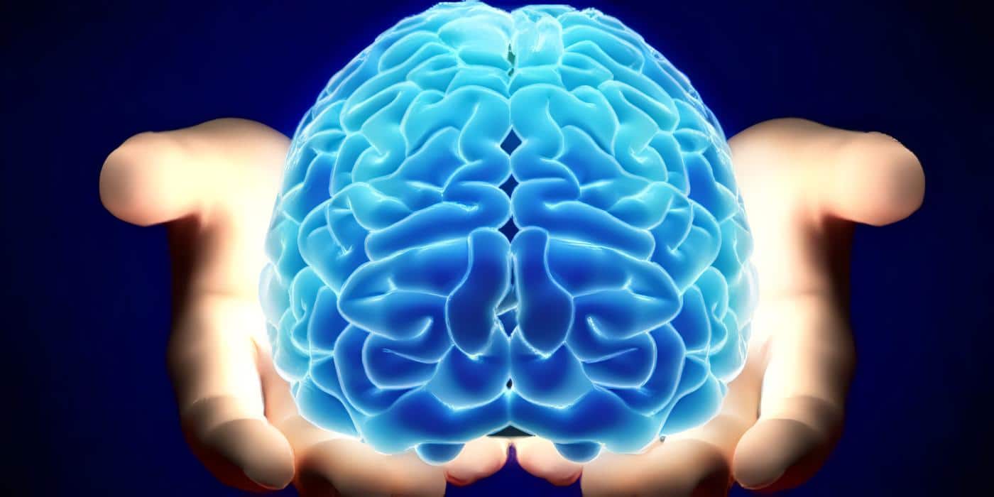 Profesor de Neurocirugía