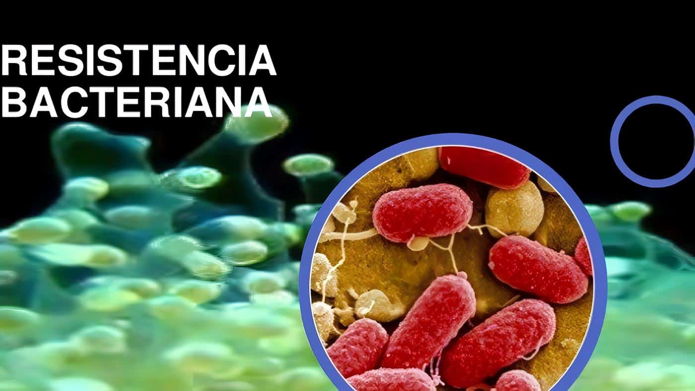 Resistencia Bacteriana