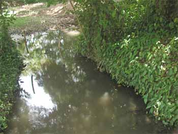 Quebrada apozada - Fiebre amarilla