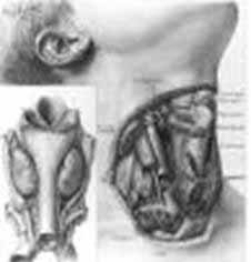 tensiometro64-imagen7