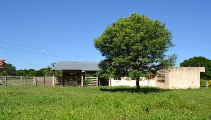 formalización de propiedad rural
