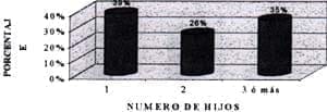 Numero de hijos encuesta lactancia materna Numero de hijos encuesta lactancia materna