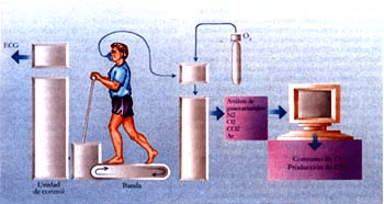Gases arteriales