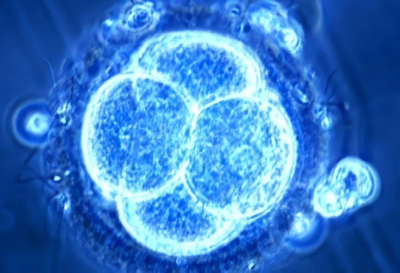 Influencia Activación Molecular